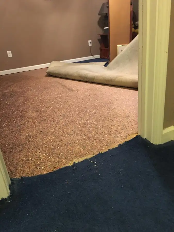 Carpet pad removal revealing water damage during Water Mitigation Services in Lucas