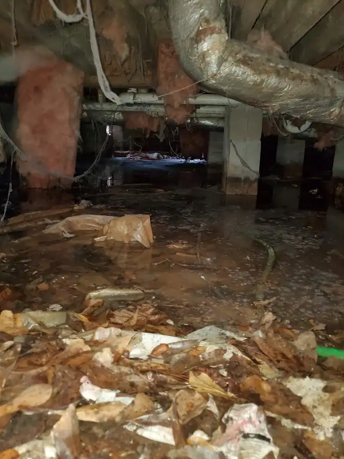 Crawl space flood assessment for Leak Detection & Repair in Lucas